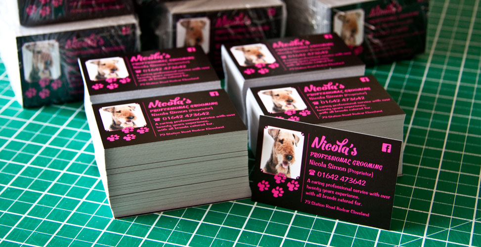 Business Cards Printing Redcar